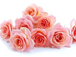 11朵粉玫瑰代表什么意思 送女孩子粉玫瑰花语寓意